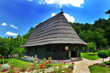 tours and travels serbia